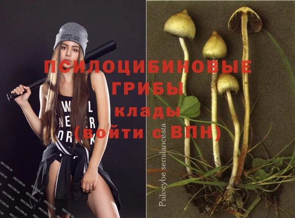 ешки Алексеевка