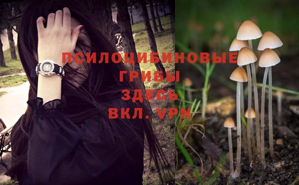 ешки Алексеевка