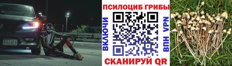 Галлюциногенные грибы Cubensis Дудинка