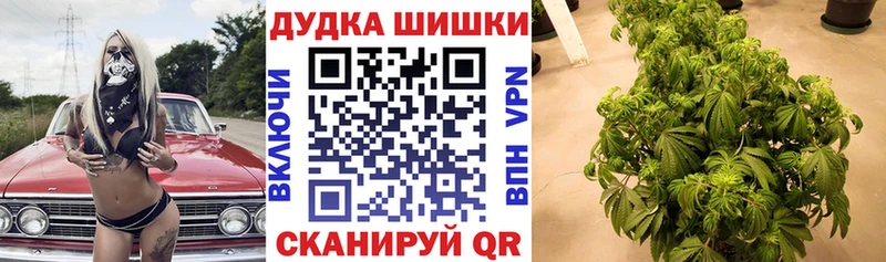 МАРИХУАНА ГИДРОПОН Дудинка